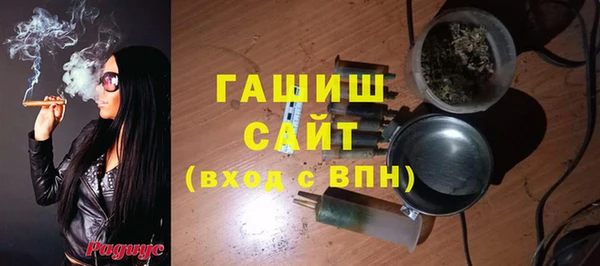 сатива Алзамай