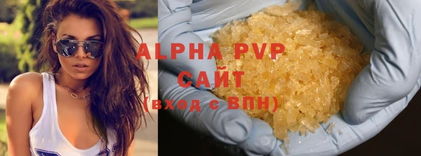 крисы Горняк