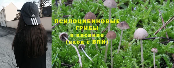 героин Алексин
