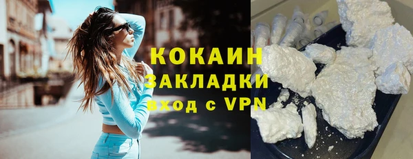 сатива Алзамай
