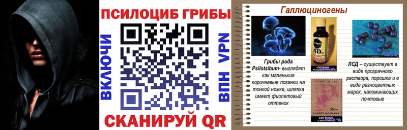 Галлюциногенные грибы Cubensis  Северская 