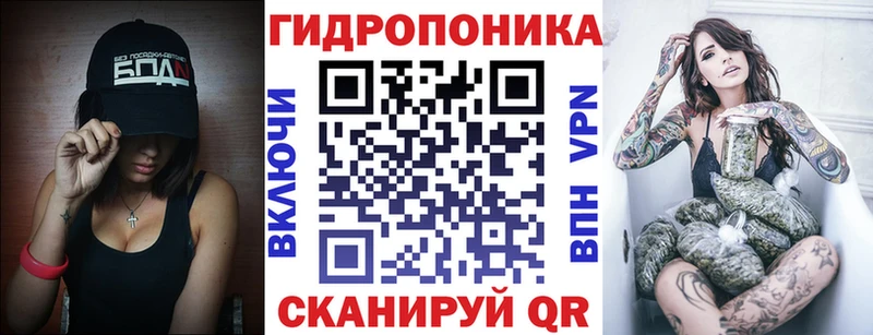 маркетплейс телеграм Северская Бошки марихуана THC 21% купить наркоту гидра tor